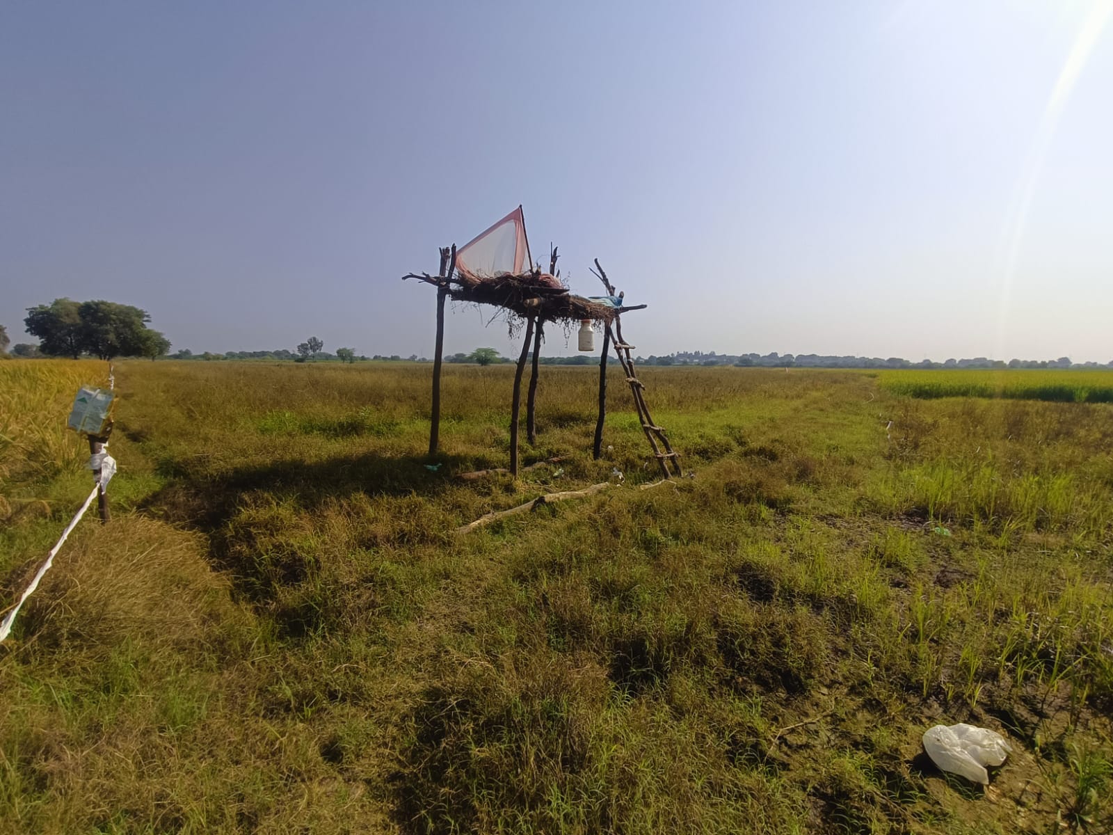61551 square meter Agriculture Land for sale in Boska Vani