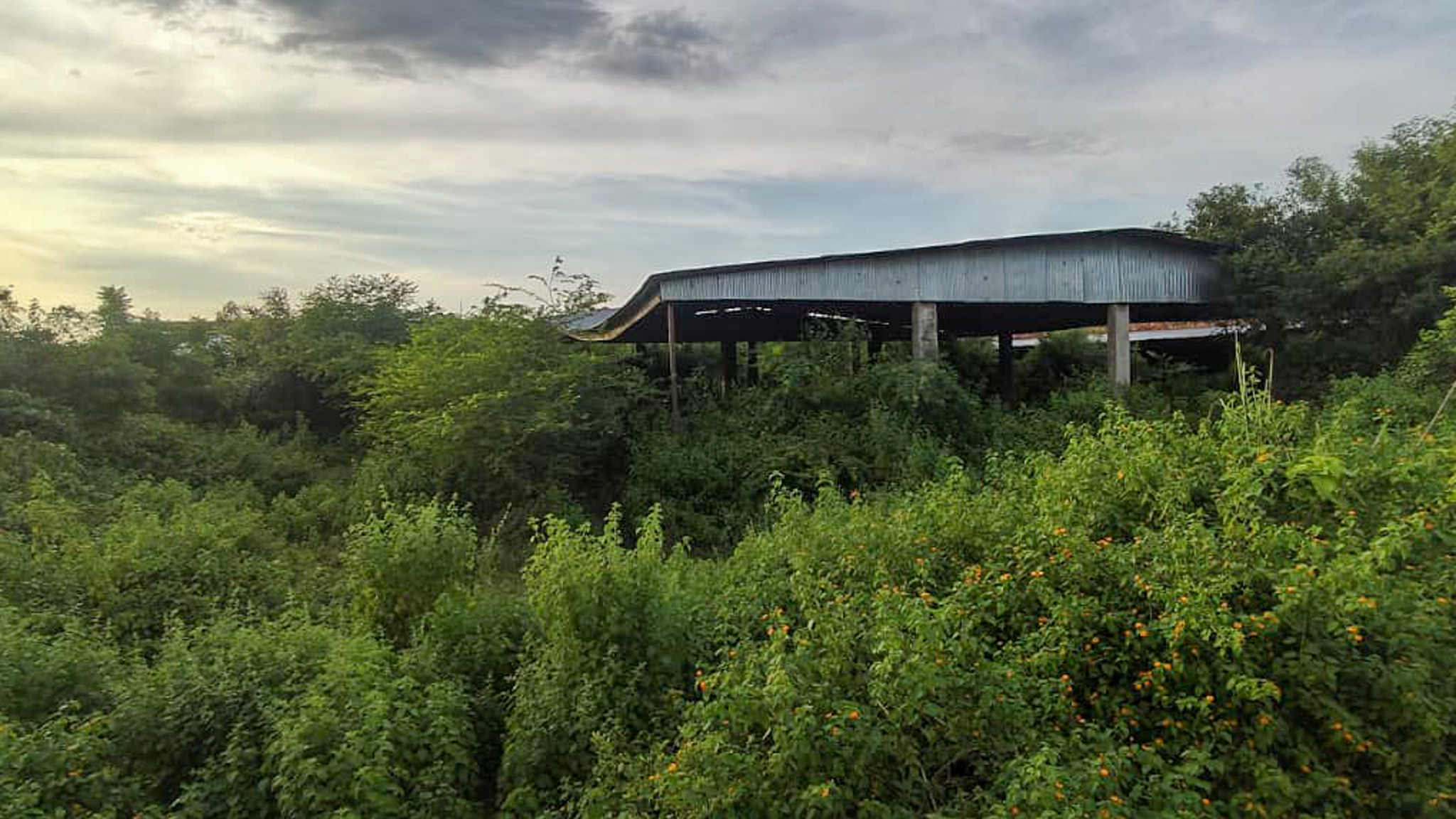 Godowns for sale in NEAR LUCKNOW AGRA EXPRESS WAY Gangaghat — photo 9