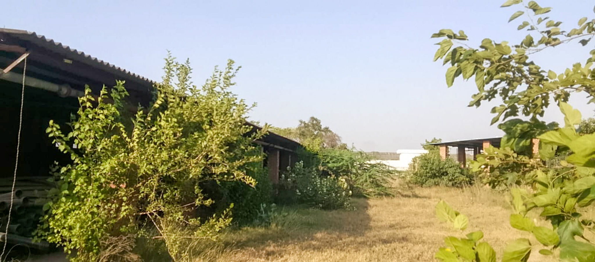 15232 square meter Industrial Plot with Factory Building for sale in Shahjahanpur UP 242001 Shahjahanpur — photo 5