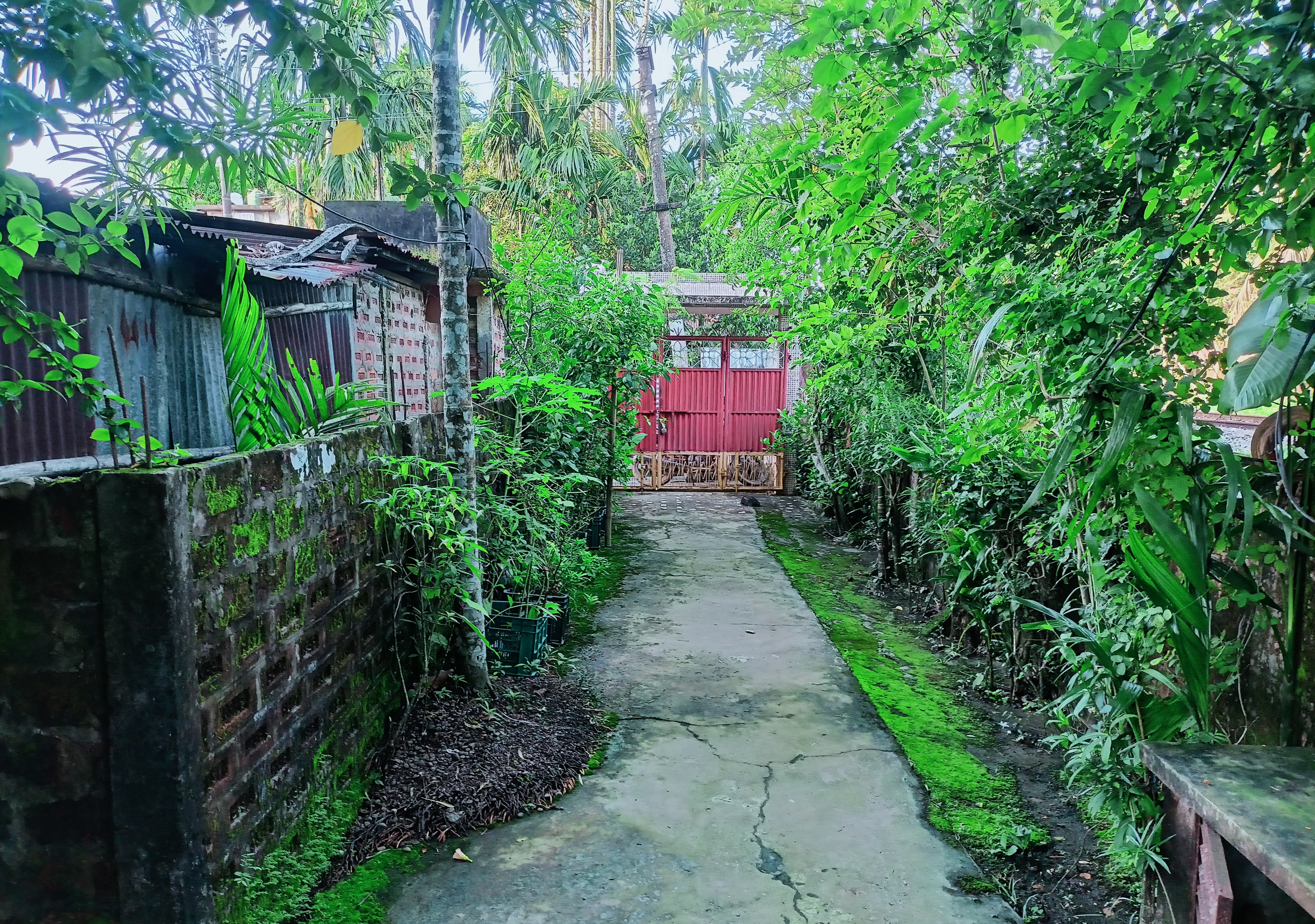 Individual House for sale in Hailakandi — photo 4