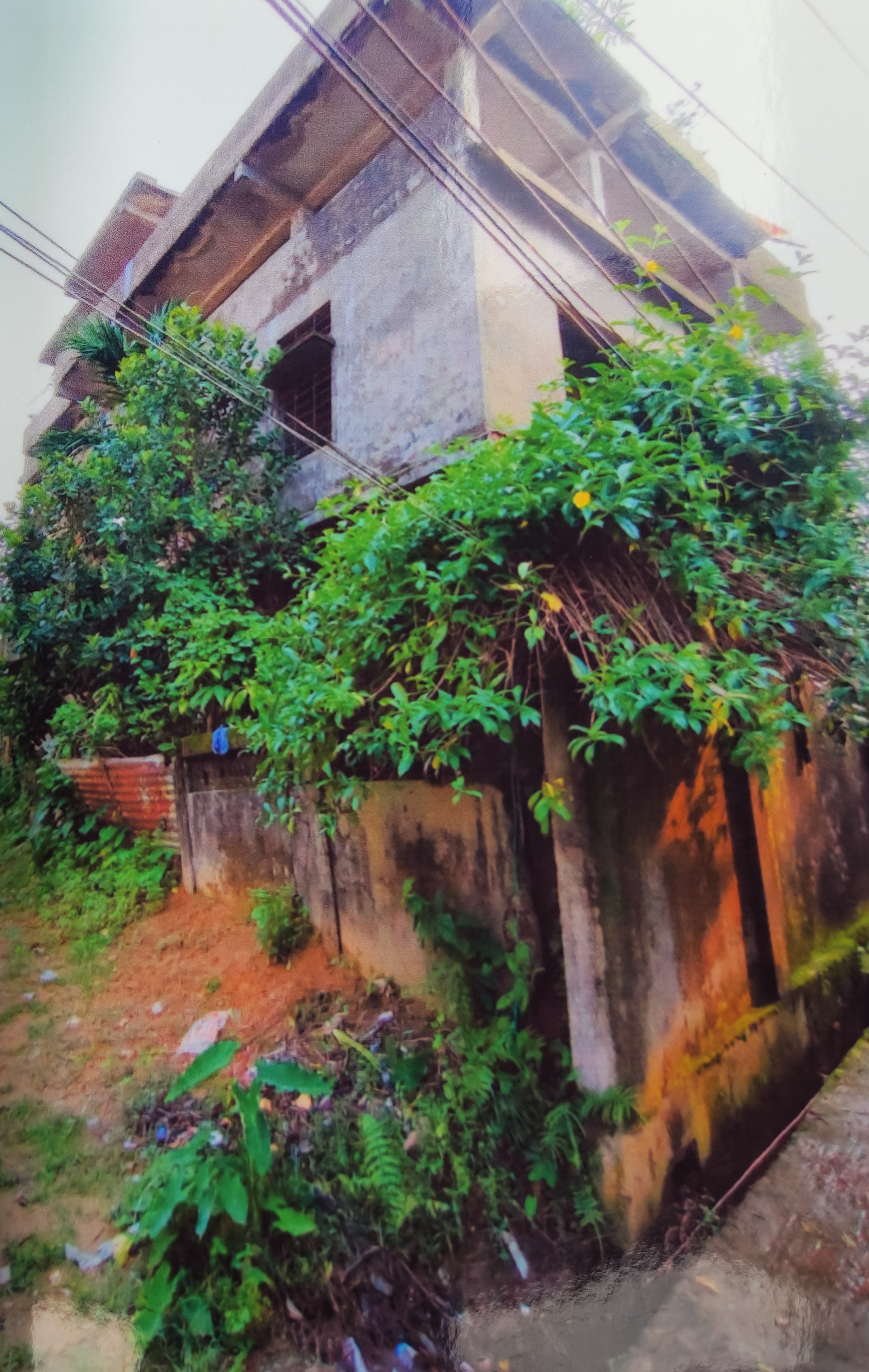 Individual House for sale in Karimganj — photo 2