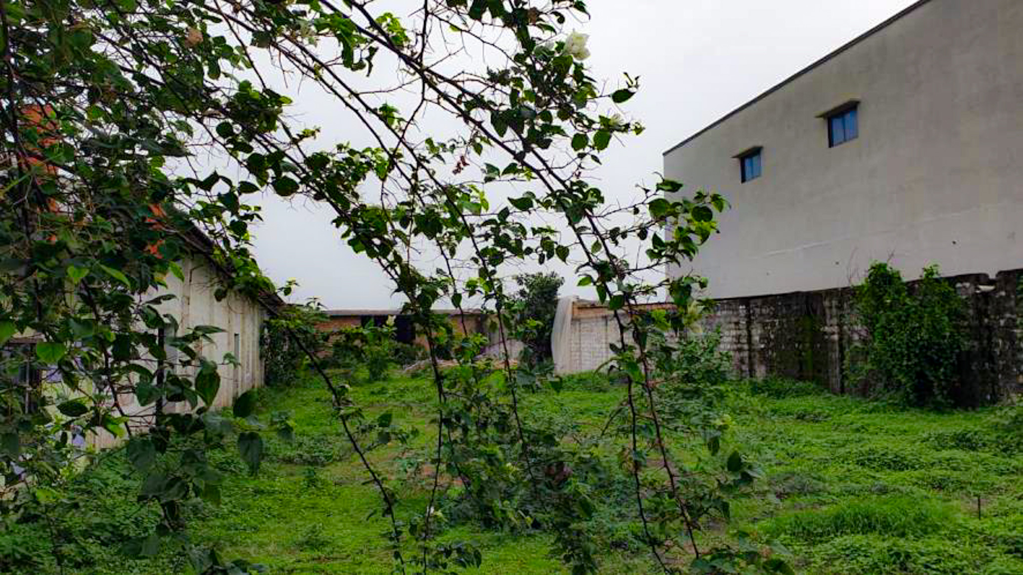 Shed with Plant and Machinery for sale in Shil — photo 2