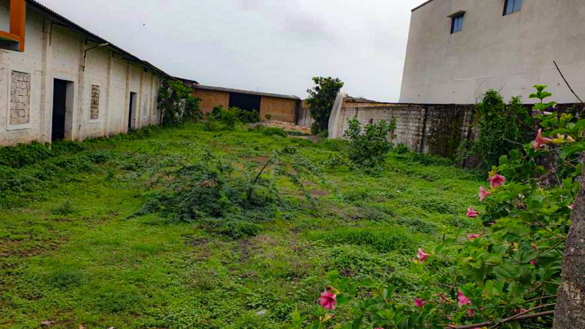 Shed with Plant and Machinery for sale in Shil — photo 5