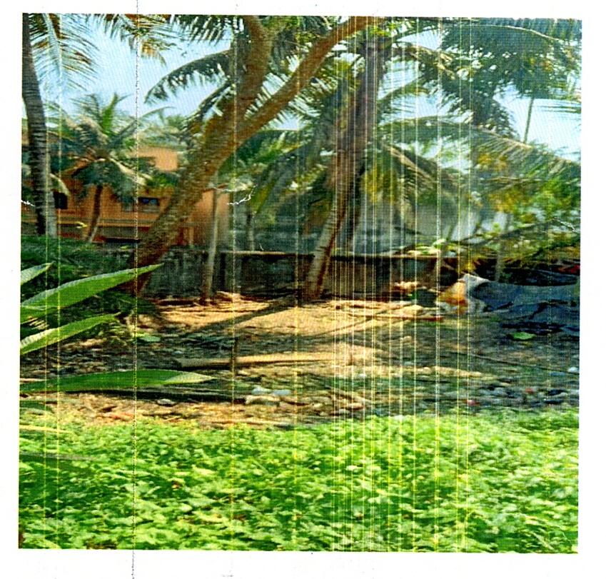 3484.48 square feet Plot for sale in NA, Kakdwip, South 24 Pgs KAKDWIP — photo 2