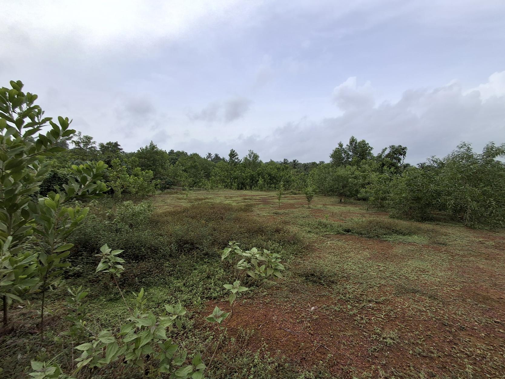 Vacant Land for sale in Ganjimutt — photo 1