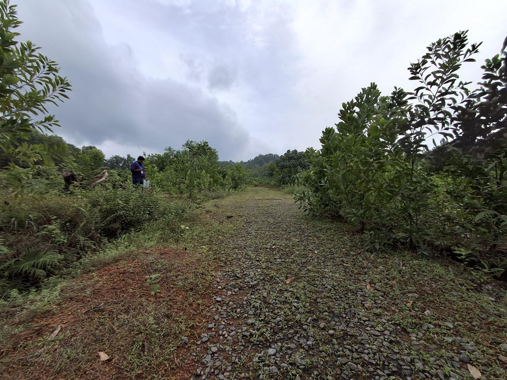 Plot for sale in THENKAYEDAPADAVU VILLAGE, SHIBRIKERE POST Ganjimutt — photo 1