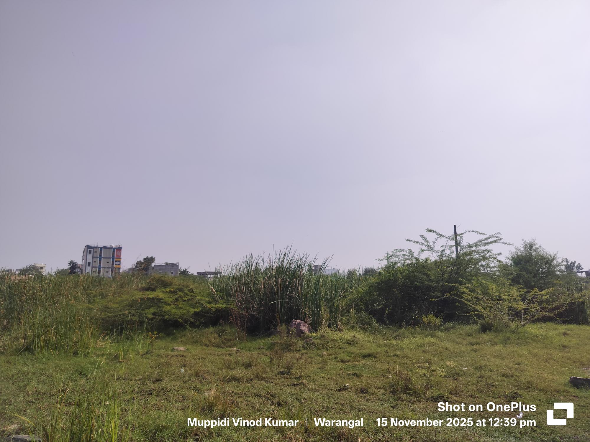 300 square yard Plot for sale in PLOT NO 47 GORRE KUNTA VILLAGE GESSUGONDA MANDAL WARANGAL DIST 506002 Hanumakonda — photo 2