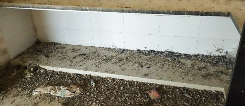 Flat for sale in Gandhinagar. — photo 14