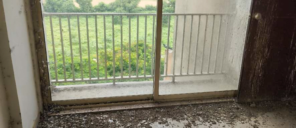 Flat for sale in Gandhinagar. — photo 17