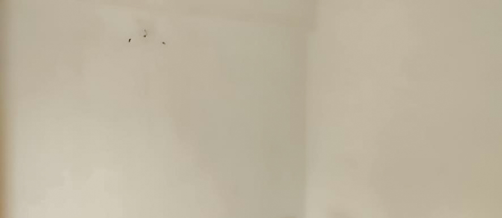 Flat for sale in Gandhinagar. — photo 26