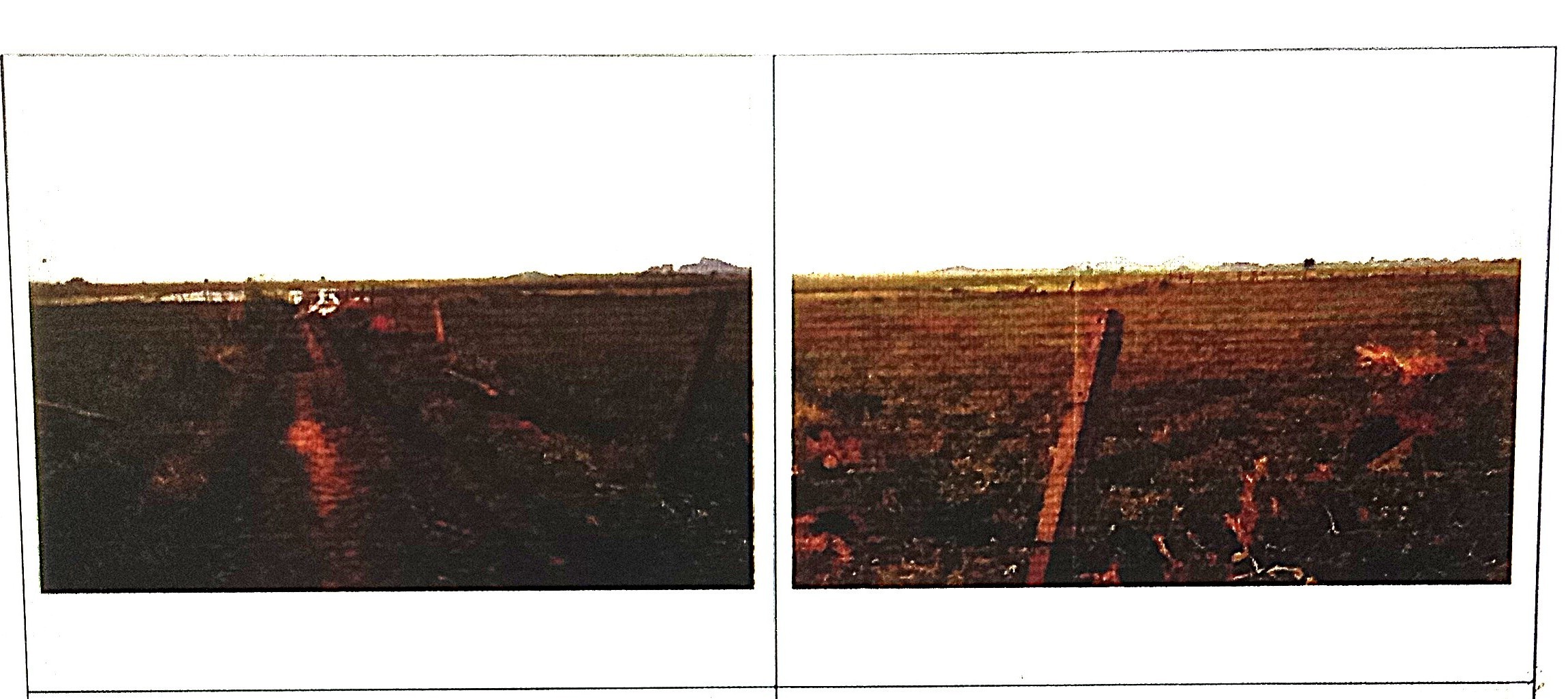 16552.8 square feet Plot for sale in Kabatabandha — photo 2