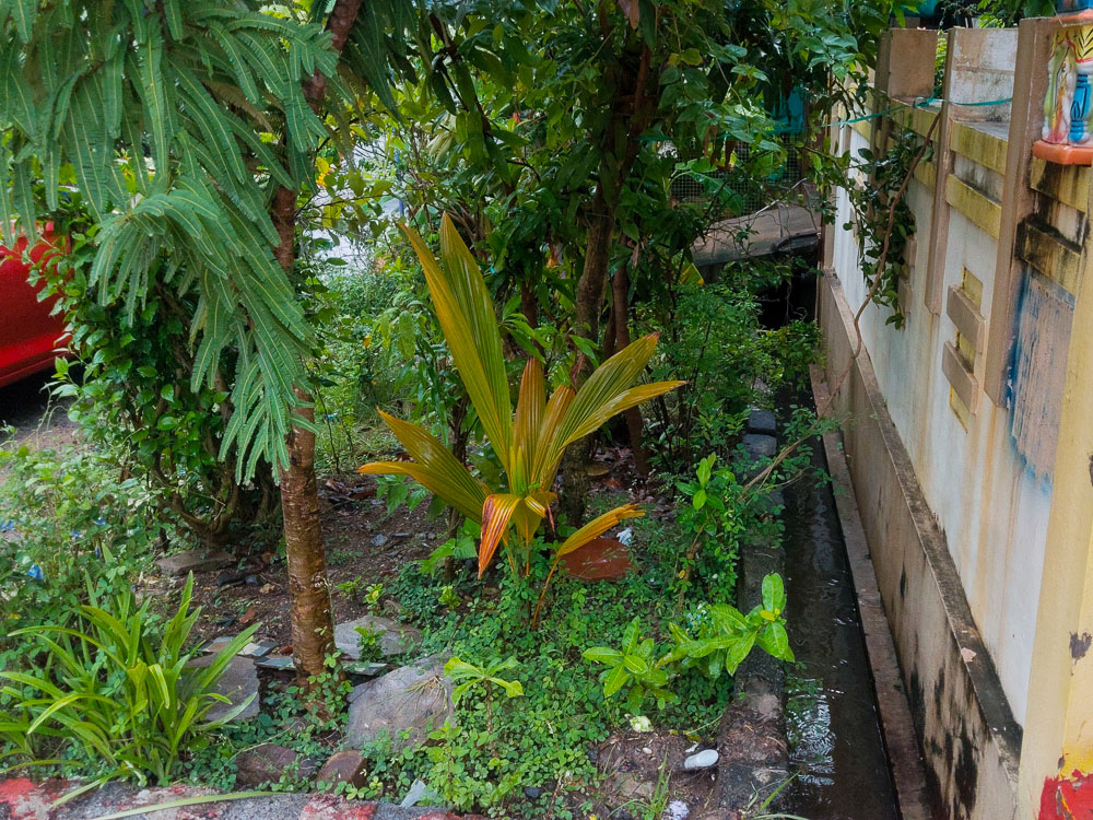 2 BHK Individual House for sale in INDIVIDUAL HOUSE, GUNTUR Guntur — photo 5