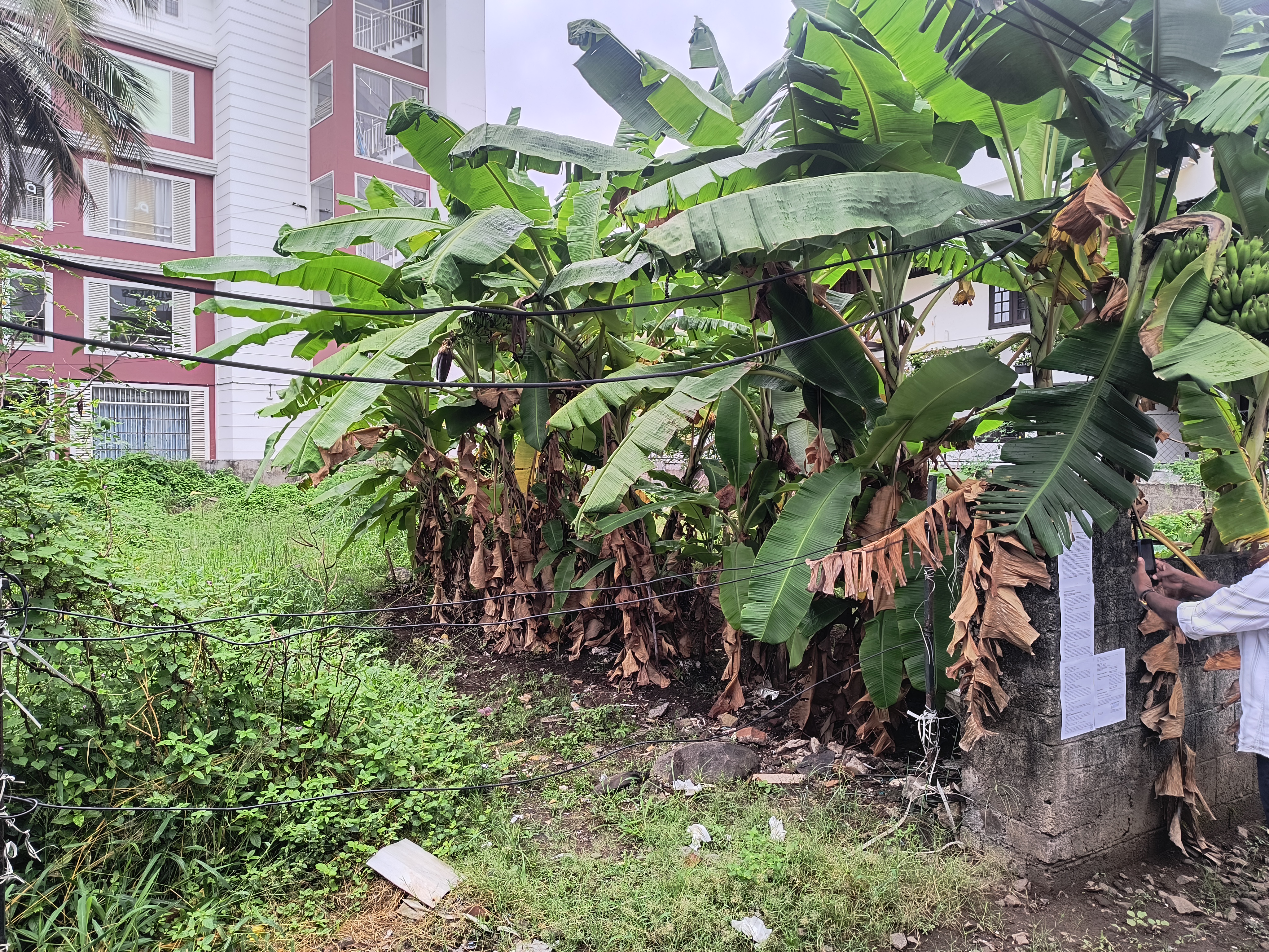 1 BHK Plot for sale in vacant land, KERALA Kochi — photo 2
