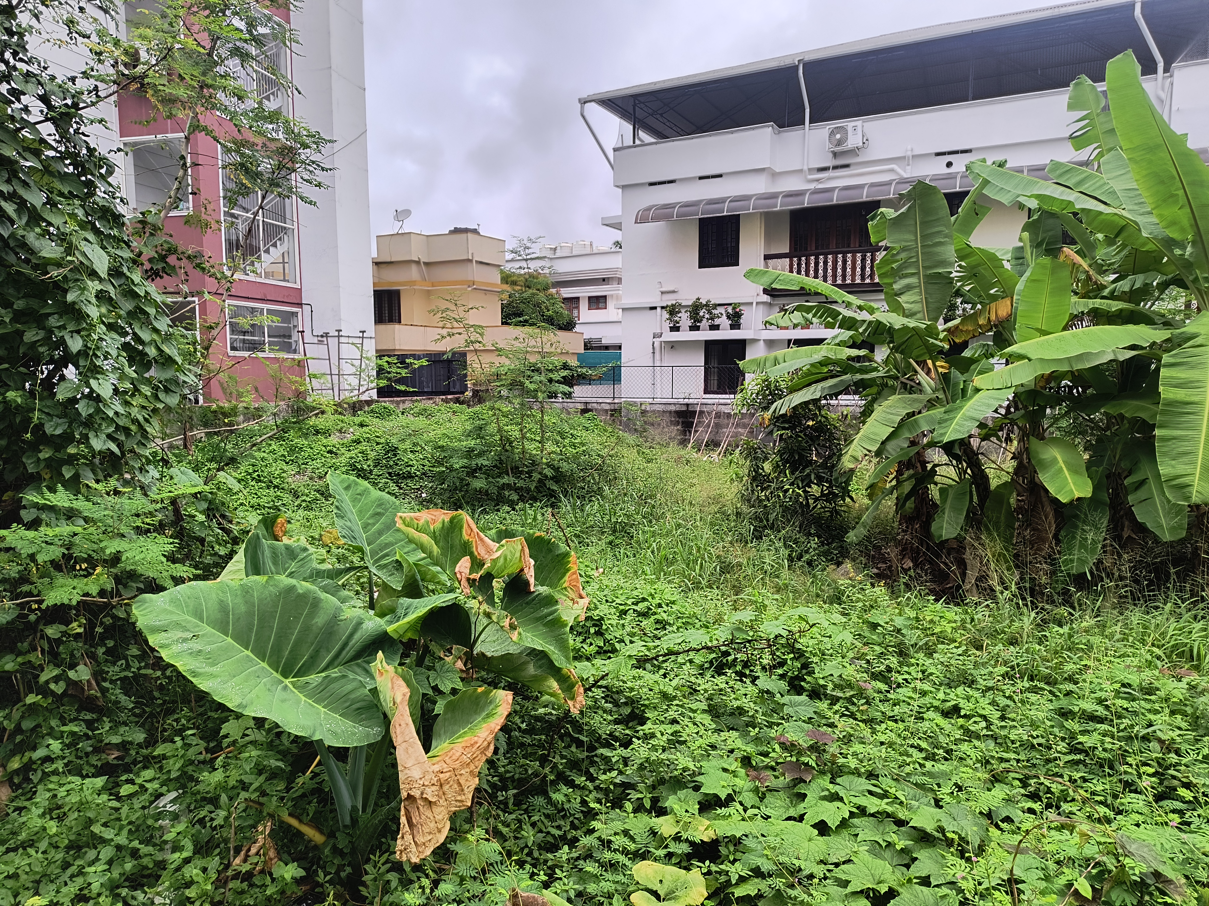 1 BHK Plot for sale in vacant land, KERALA Kochi — photo 6