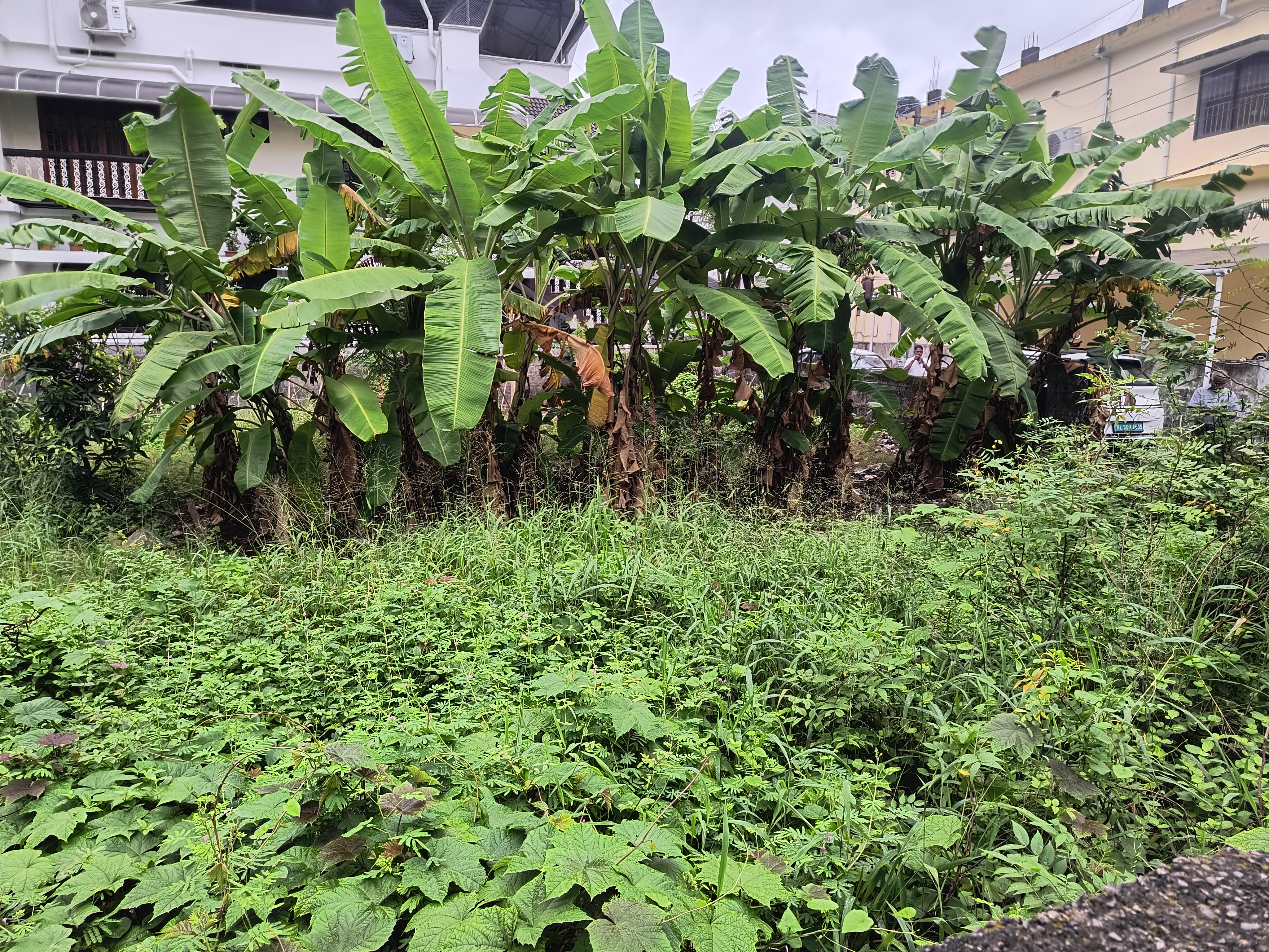1 BHK Plot for sale in vacant land, KERALA Kochi — photo 7