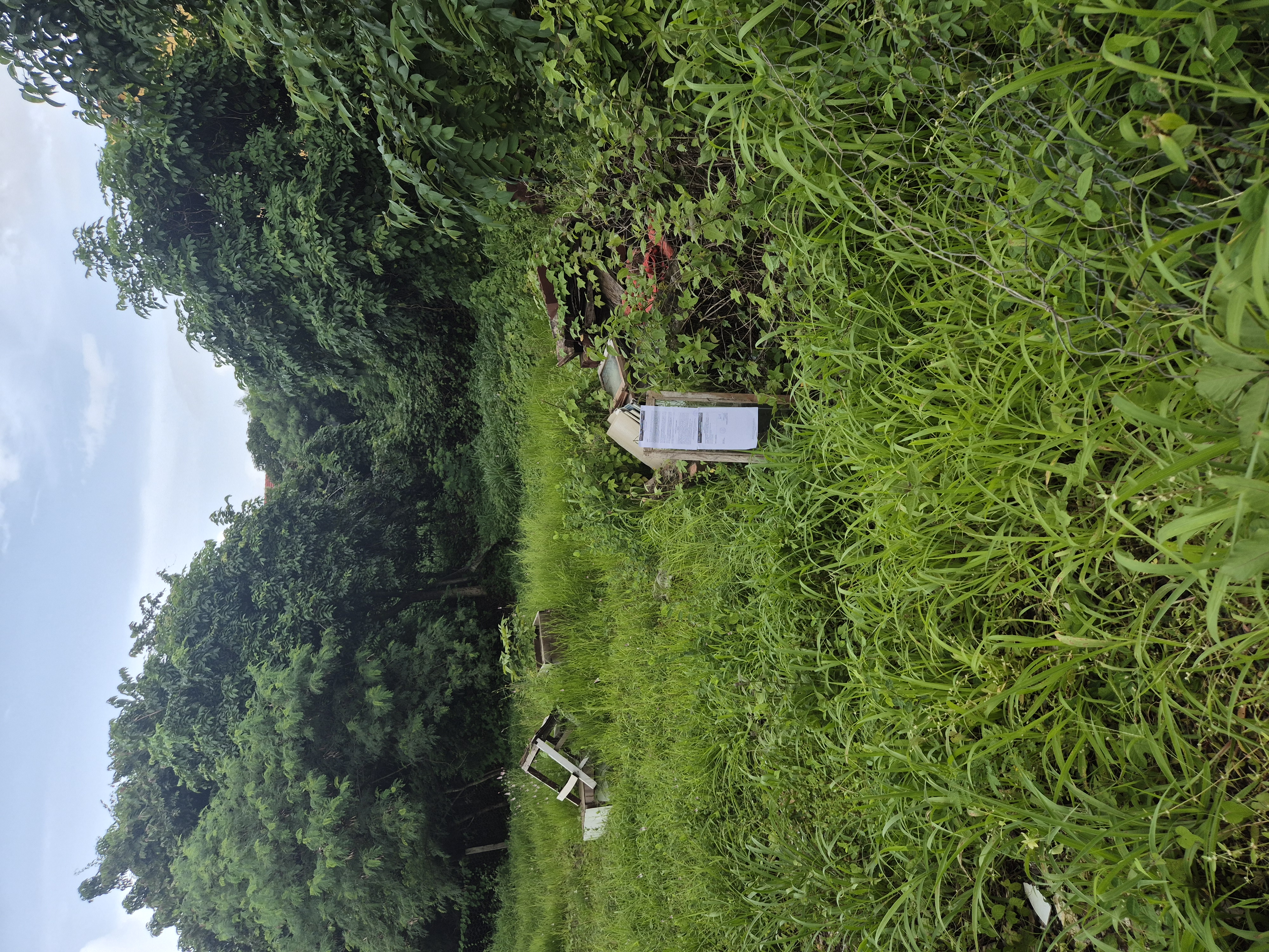 451 square meter Plot for sale in Sancoale