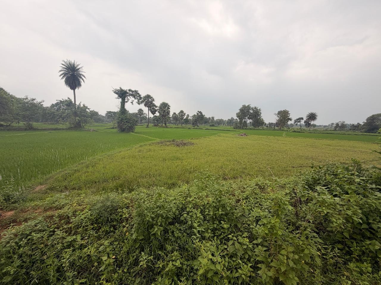 Plot for sale in Boudh — photo 3