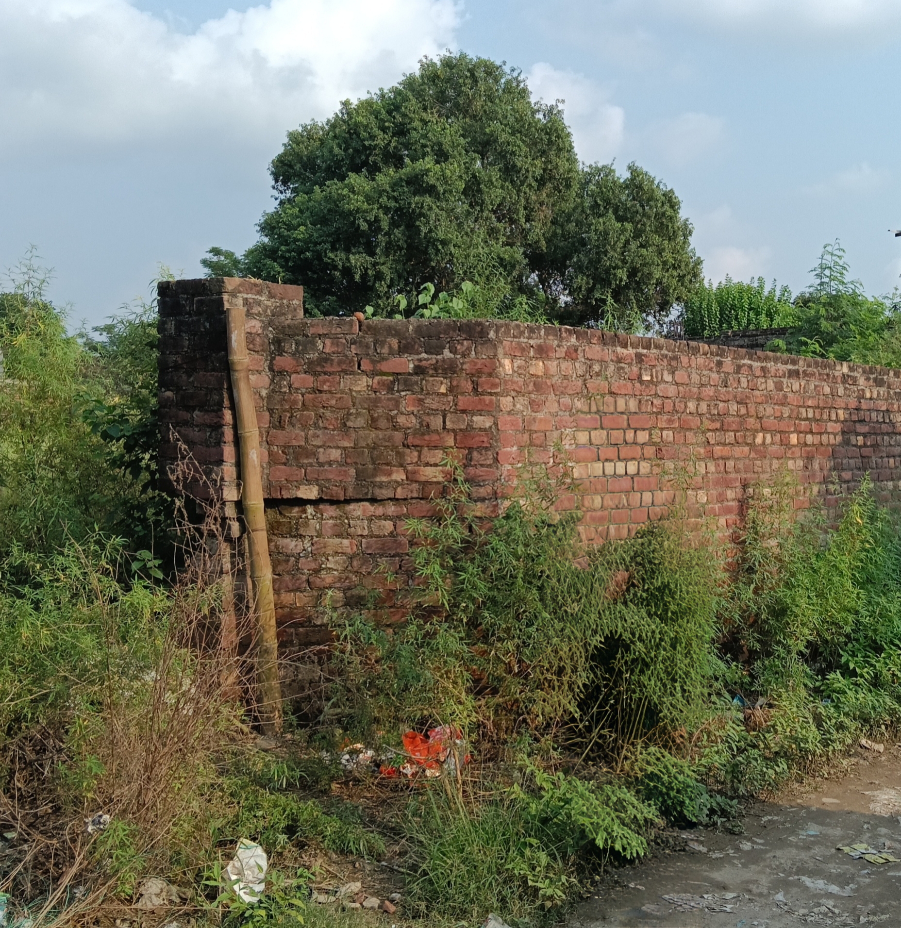 LAND for sale in Indora — photo 2