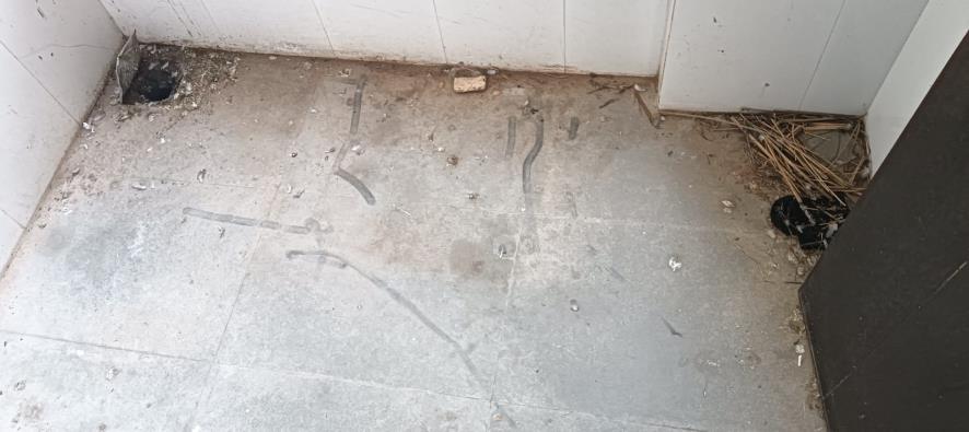 Flat for sale in Gandhinagar Gandhinagar. — photo 17