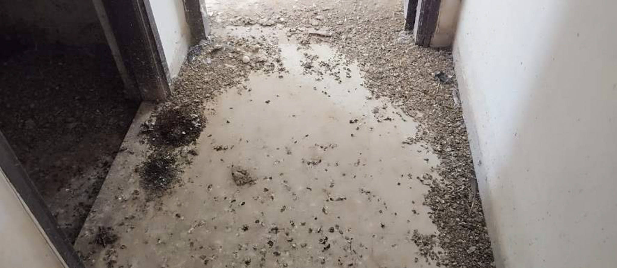 Flat for sale in Gandhinagar. — photo 1