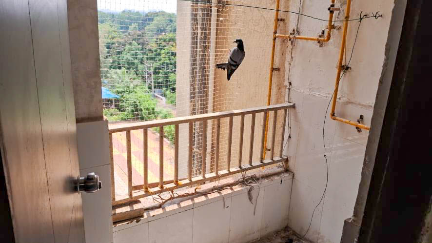Flat for sale in Gandhinagar Gandhinagar. — photo 9
