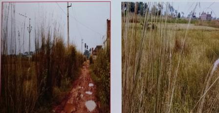 Plot for sale in Purusottampur — photo 1