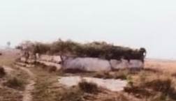 Plot for sale in BERHAMPUR Purusottampur — photo 1