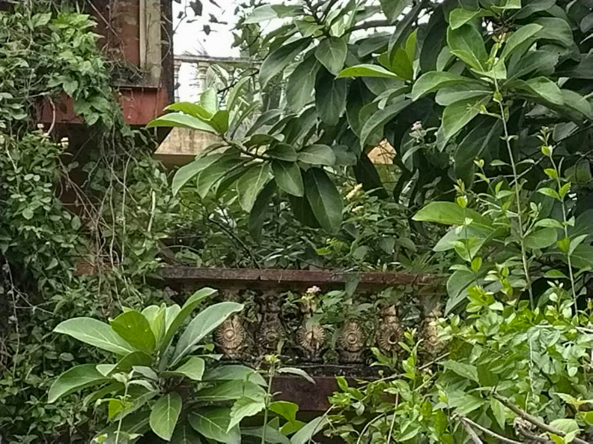 Individual House for sale in Nuzvid — photo 2