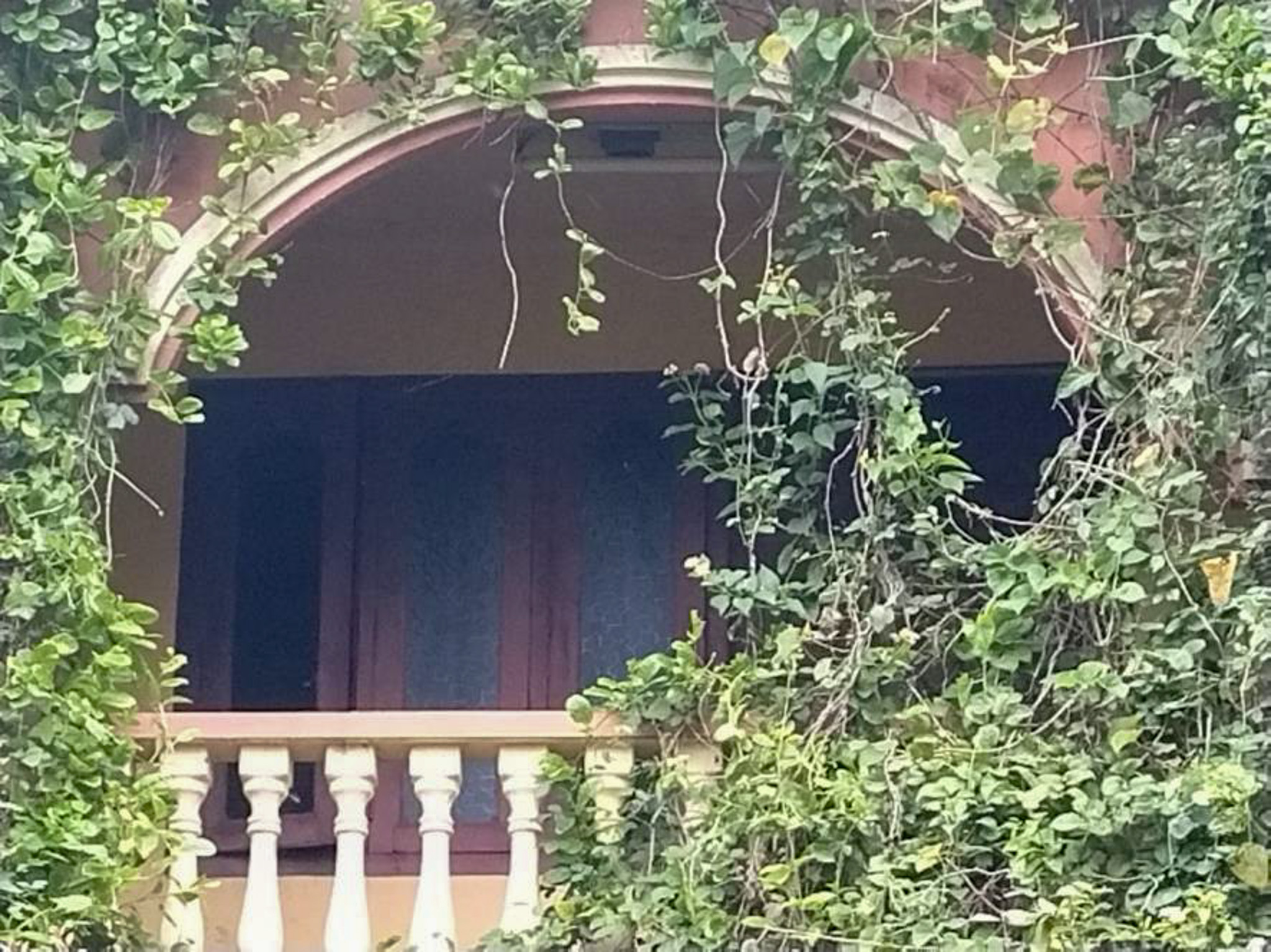 Individual House for sale in Nuzvid — photo 4