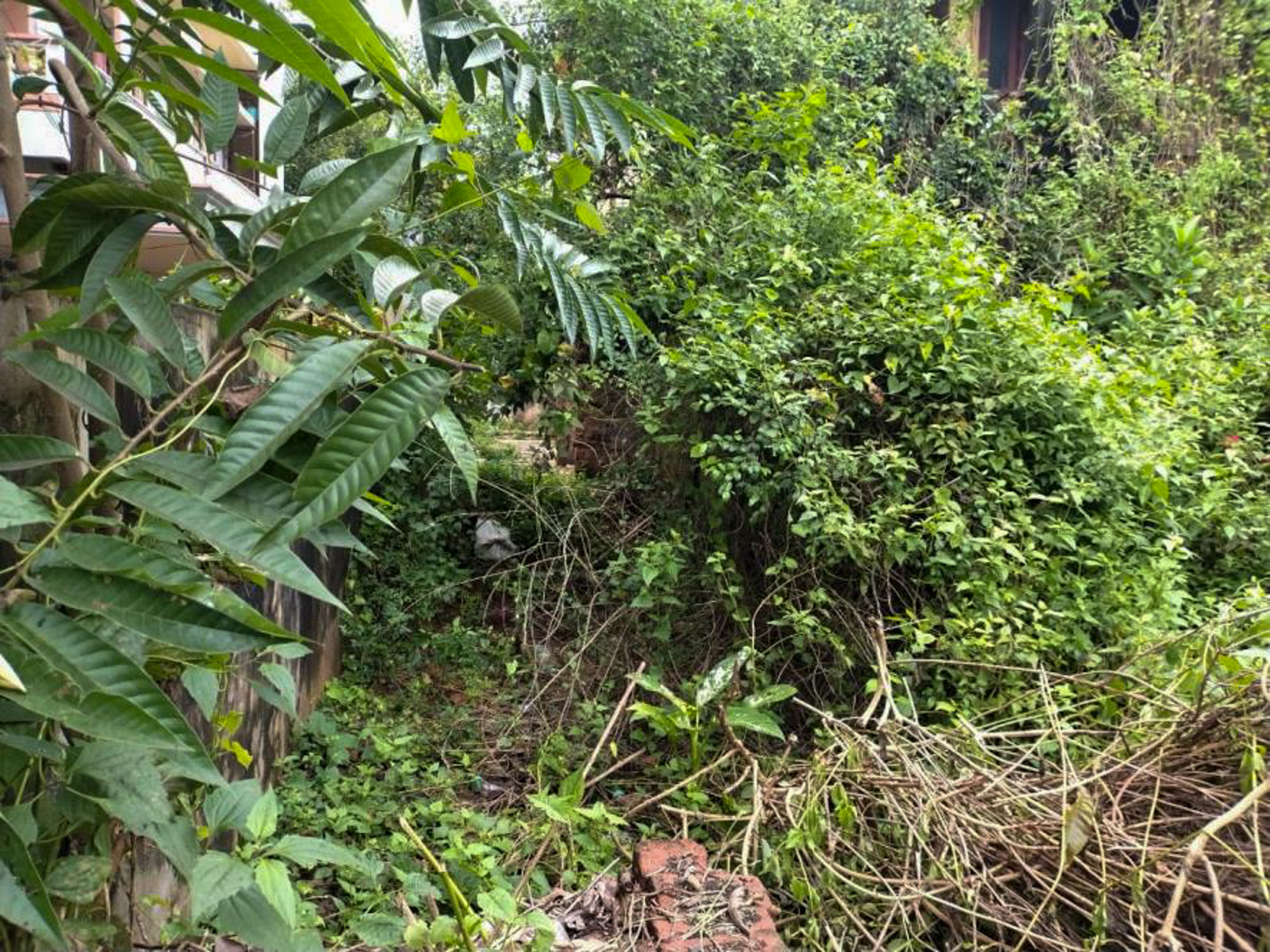 Individual House for sale in Nuzvid — photo 8