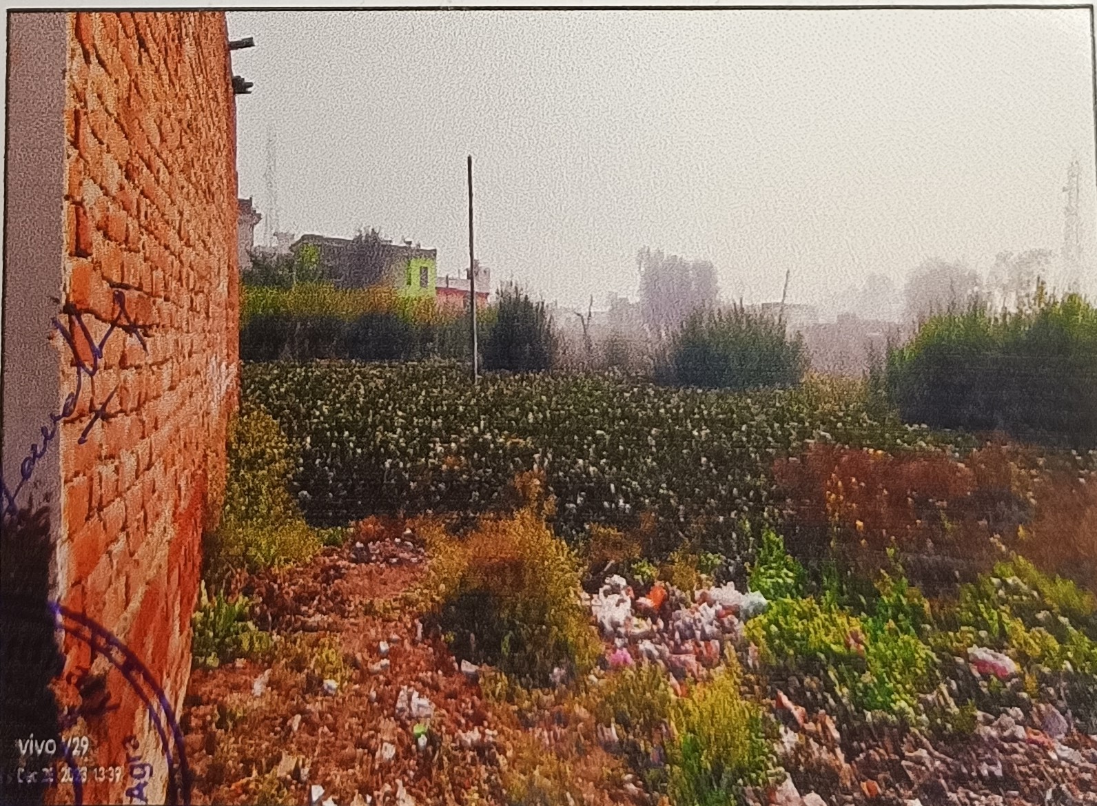 Plot for sale in Auraiya — photo 1