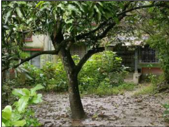 704 square feet Individual House for sale in HAROA Minakhan — photo 1