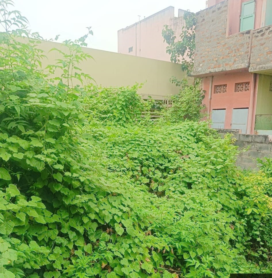 Plot for sale in SATTENAPALLE Sattenapalle