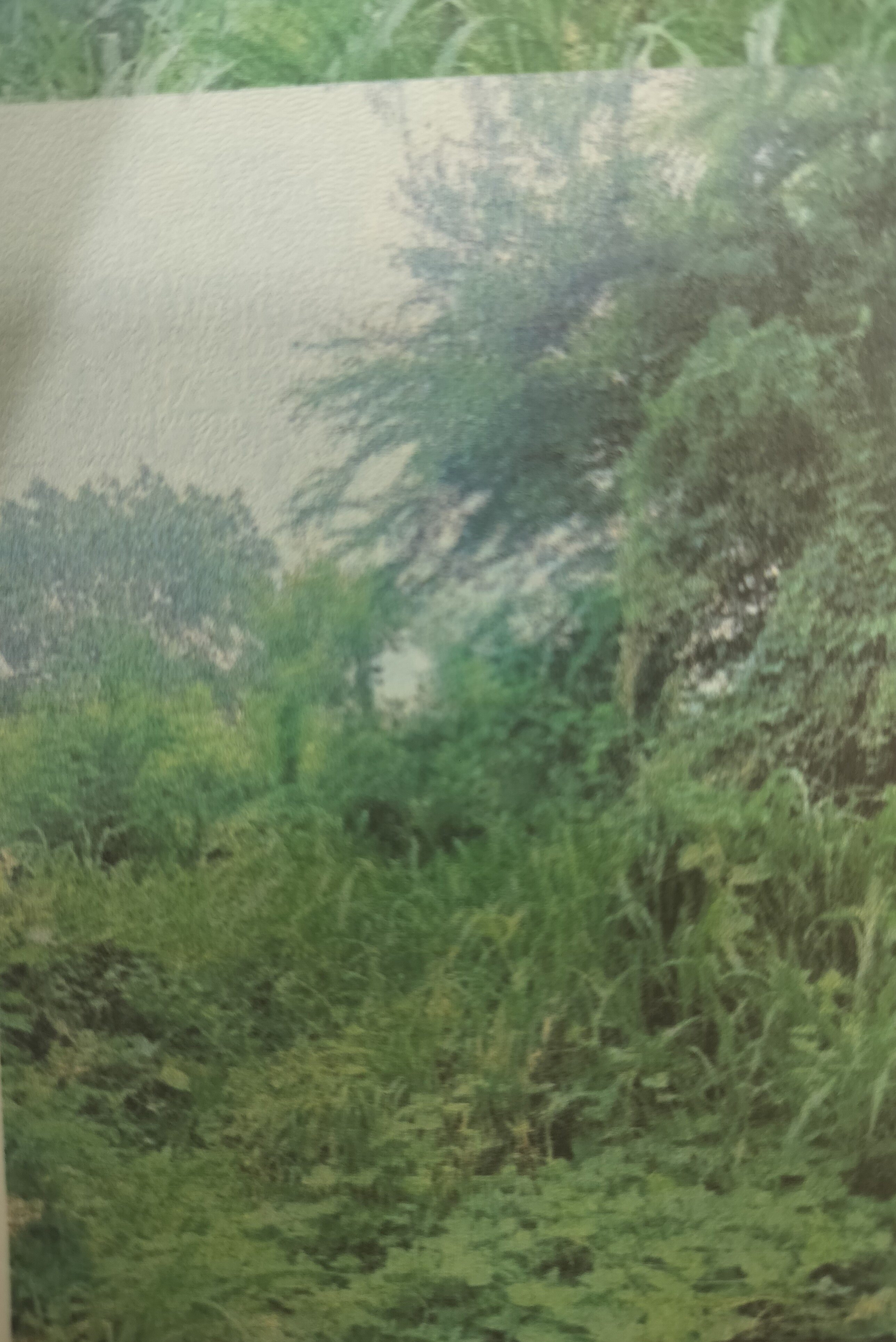 Plot for sale in GUNTUR Guntur
