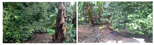 Plot for sale in MUVATTUPUZHA Muvattupuzha — photo 2