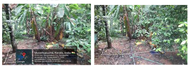 Plot for sale in MUVATTUPUZHA Muvattupuzha — photo 3