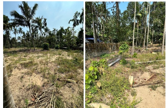 VACCANT LAND for sale in Adinad — photo 1