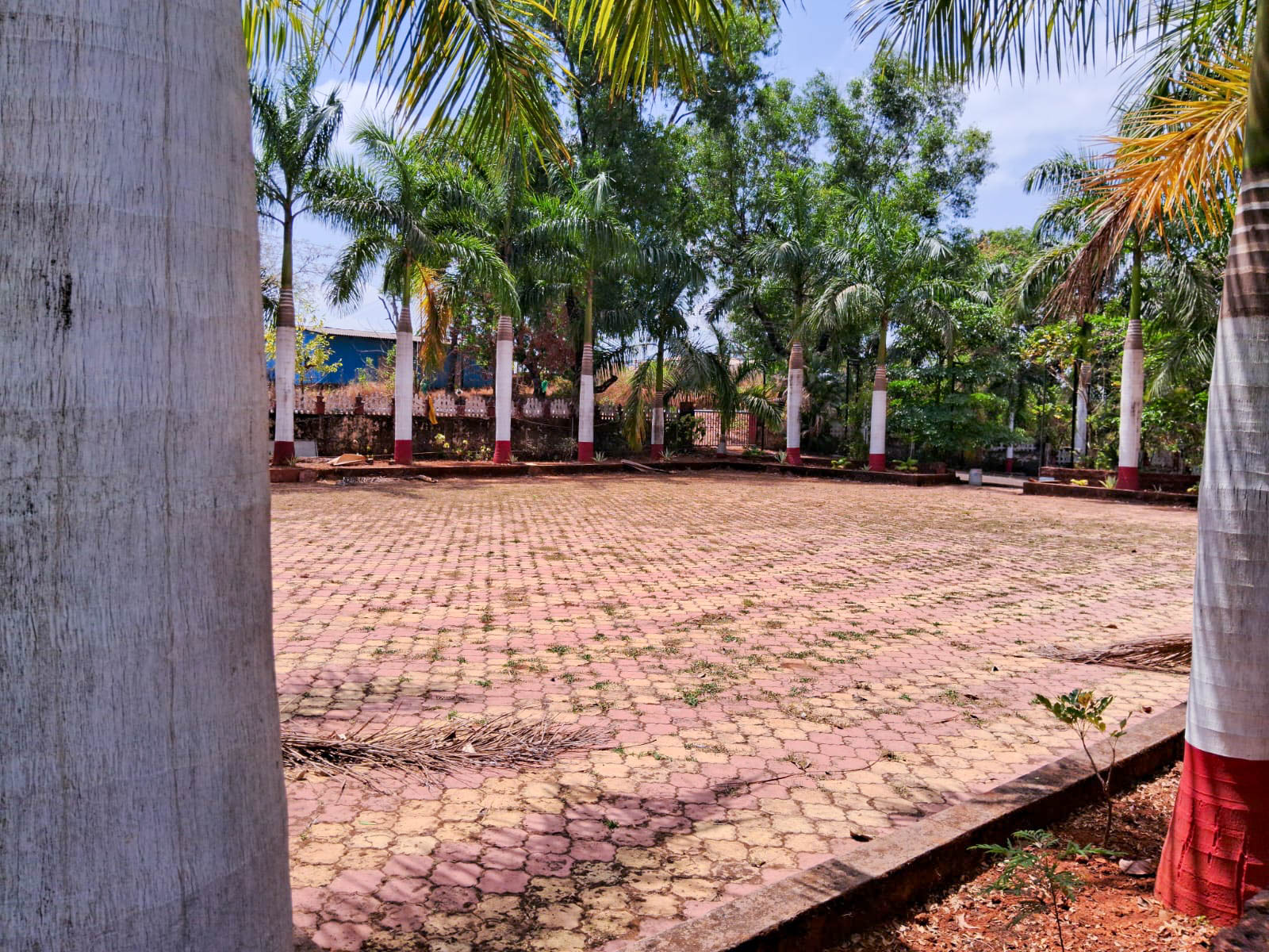 Shops for sale in Devrukh — photo 17