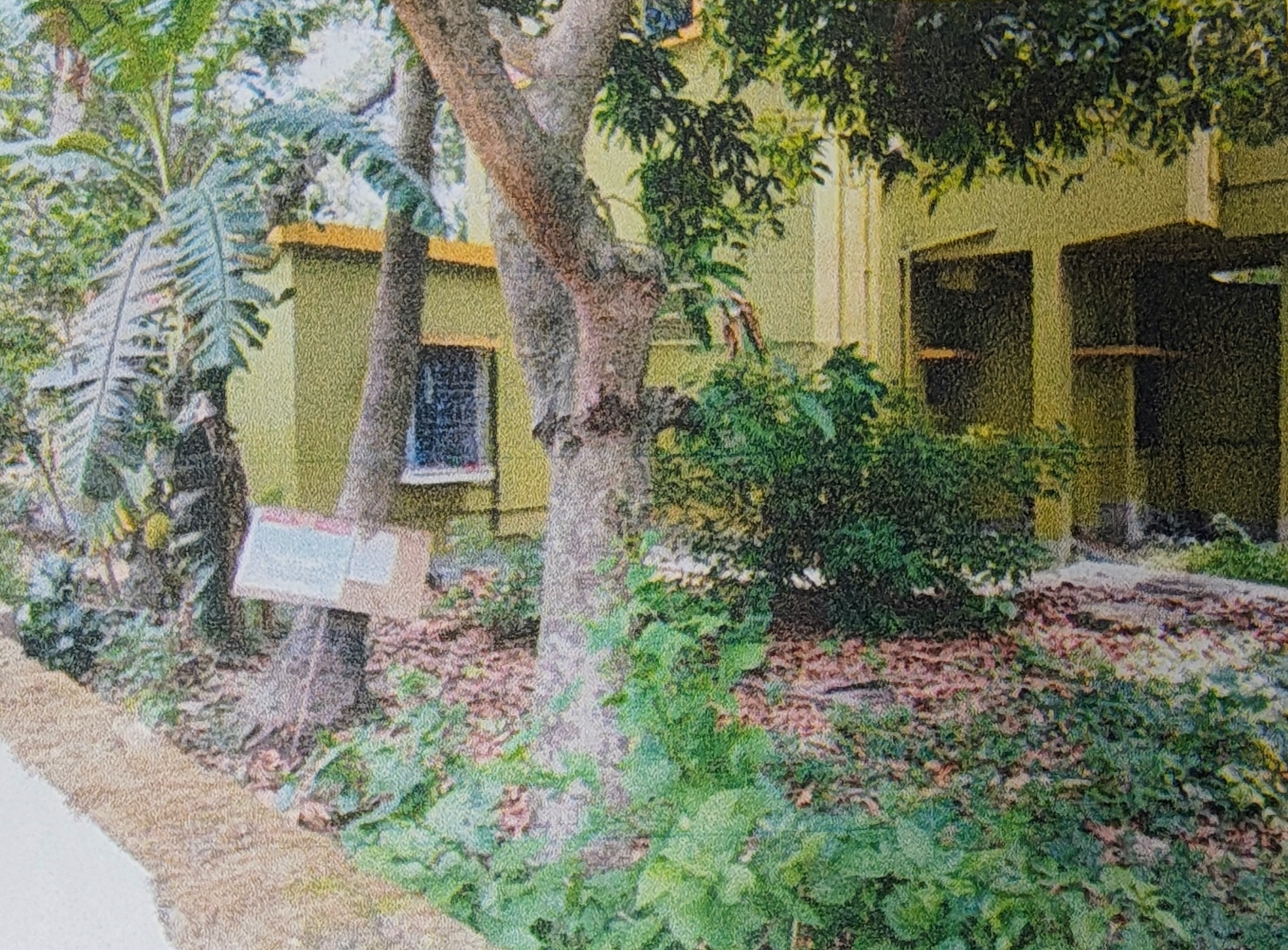 Plot for sale in Dhubulia Bethuadahari