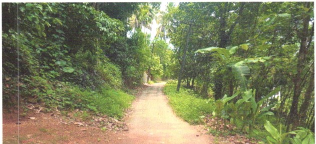 2023 square meter Plot for sale in Vannapuram Thodupuzha — photo 2