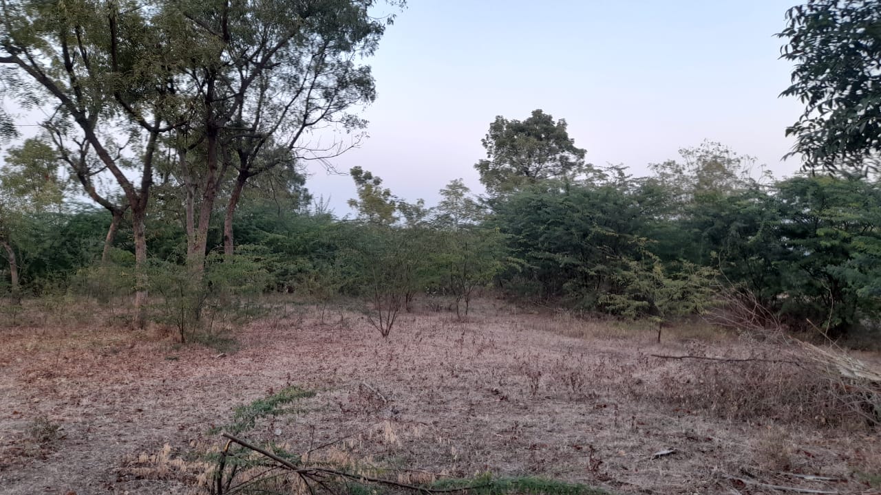 1693 square meter Plot for sale in Banana Kingdom, Dakor — photo 2