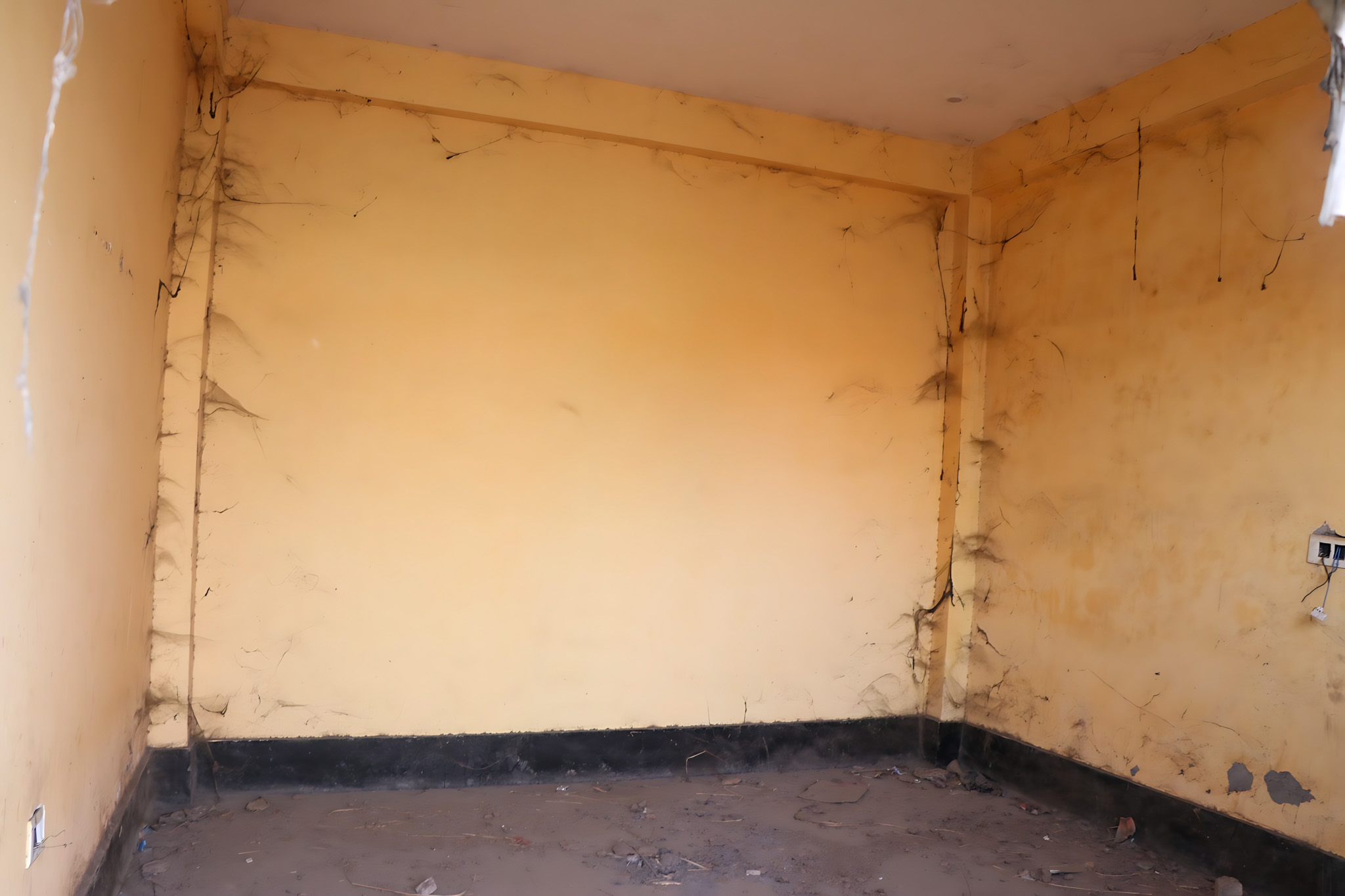Individual House for sale in Atrauli — photo 5