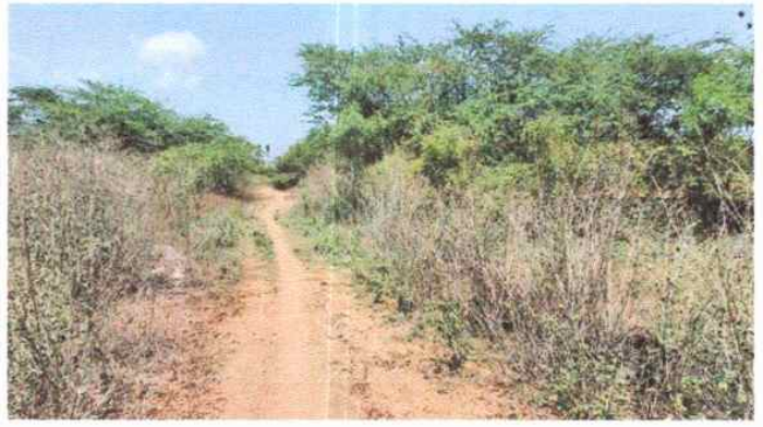 VACANT LAND for sale in Namakkal — photo 1