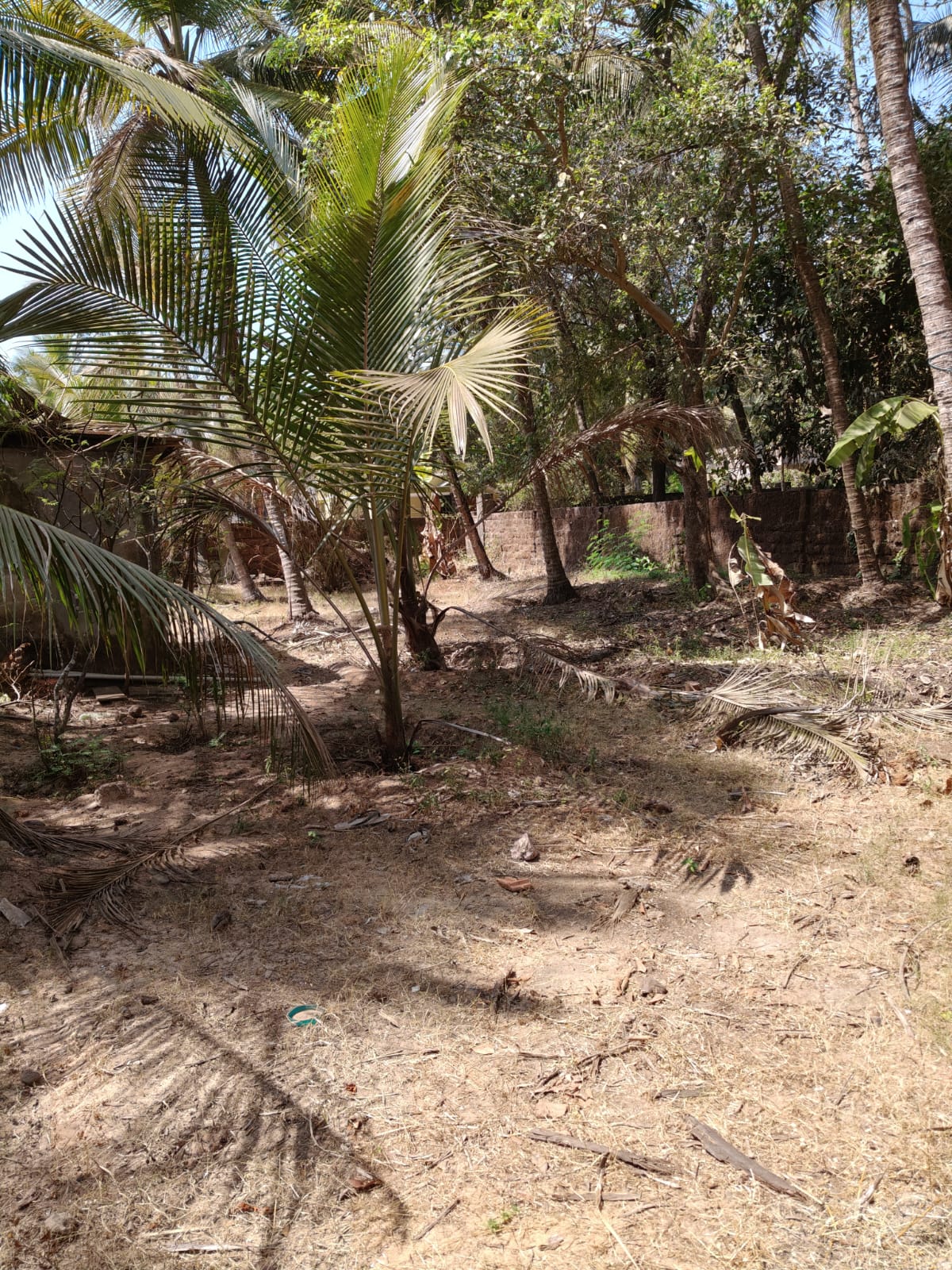 Plot for sale in Udupi — photo 1