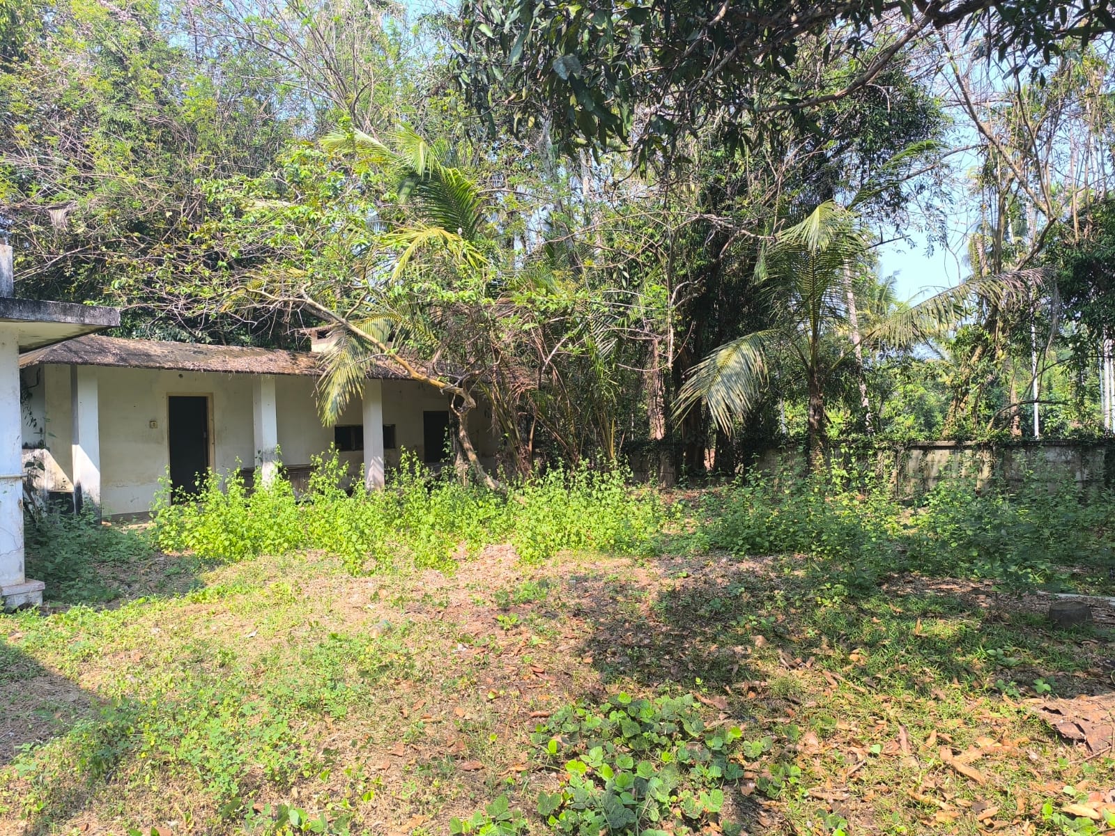 1916 square meter Individual House for sale in Edathiruthy Village, Kodungallur Taluk, Thrissur District Edathiruthy — photo 2