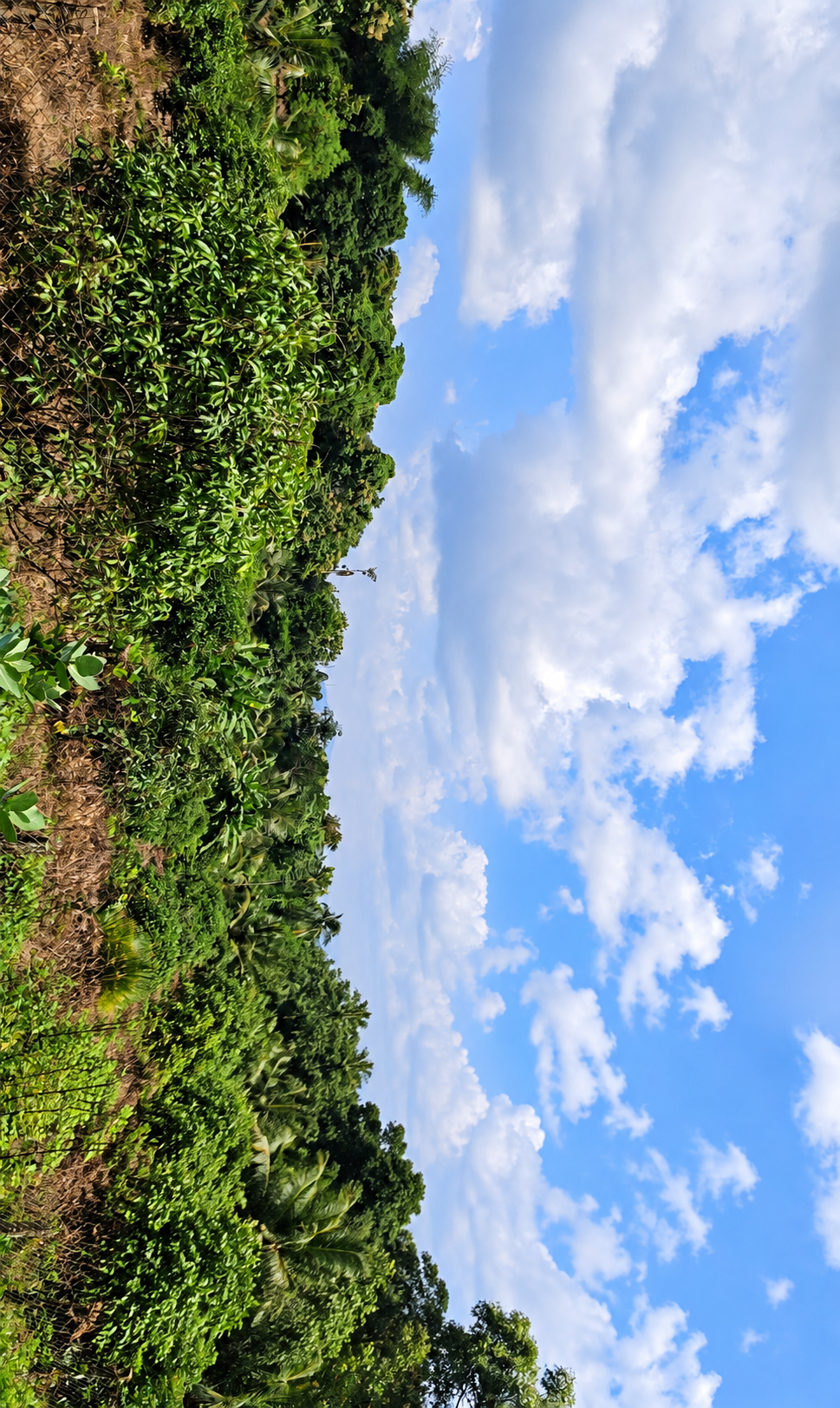 Plot for sale in MANNUR MANNUR — photo 3