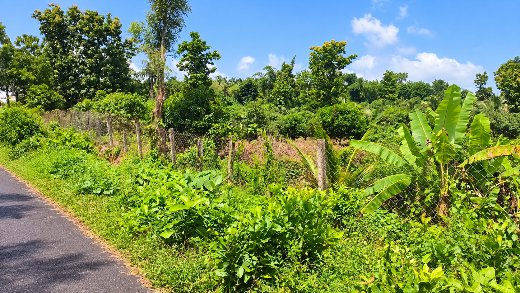 Plot for sale in MANNUR MANNUR