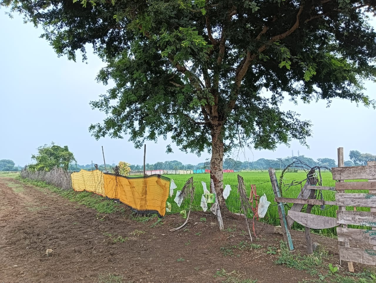 6000 square feet Plot for sale in bhilai Bhilai — photo 4
