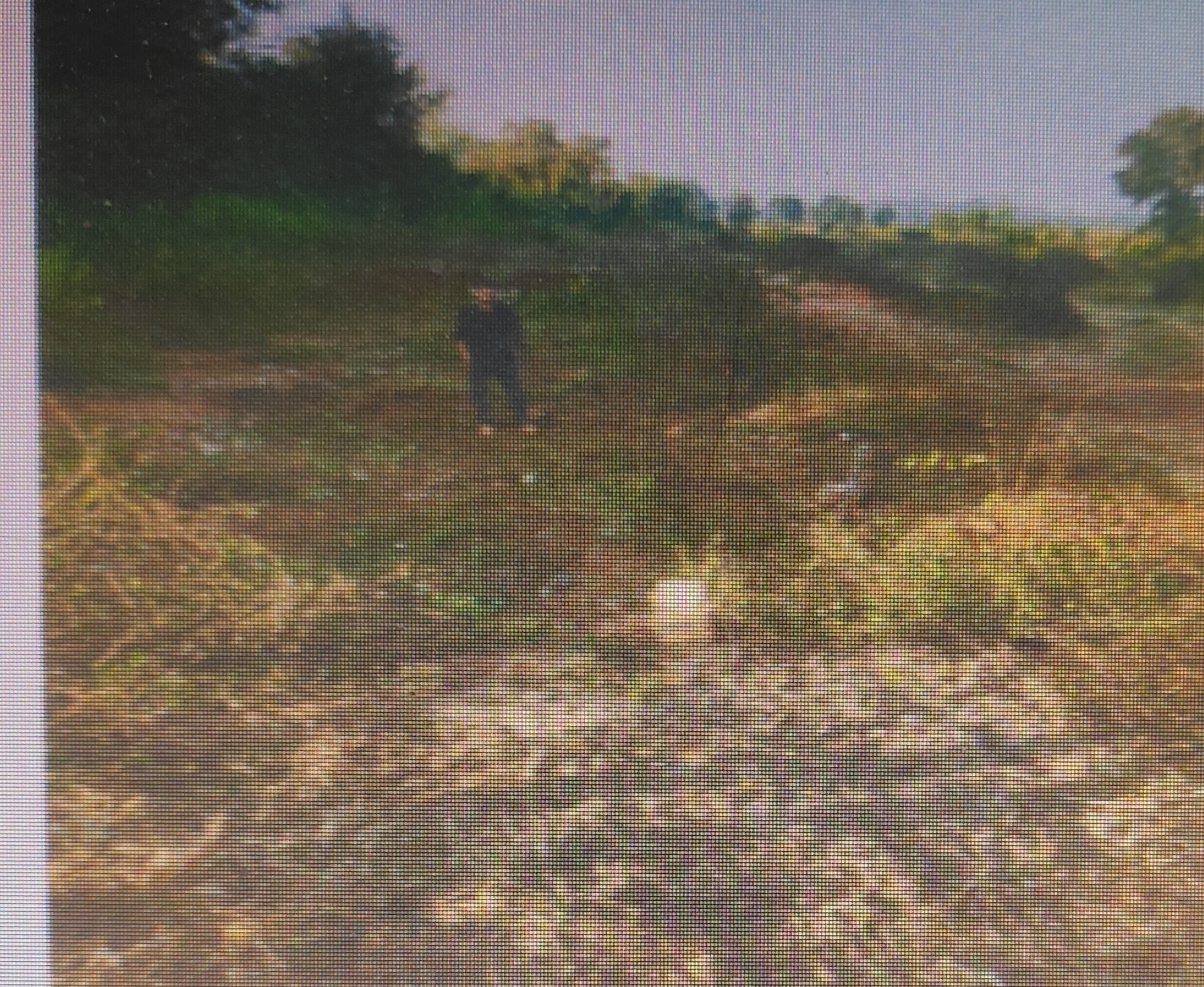 Plot for sale in Idustrial Area Hargarh — photo 1