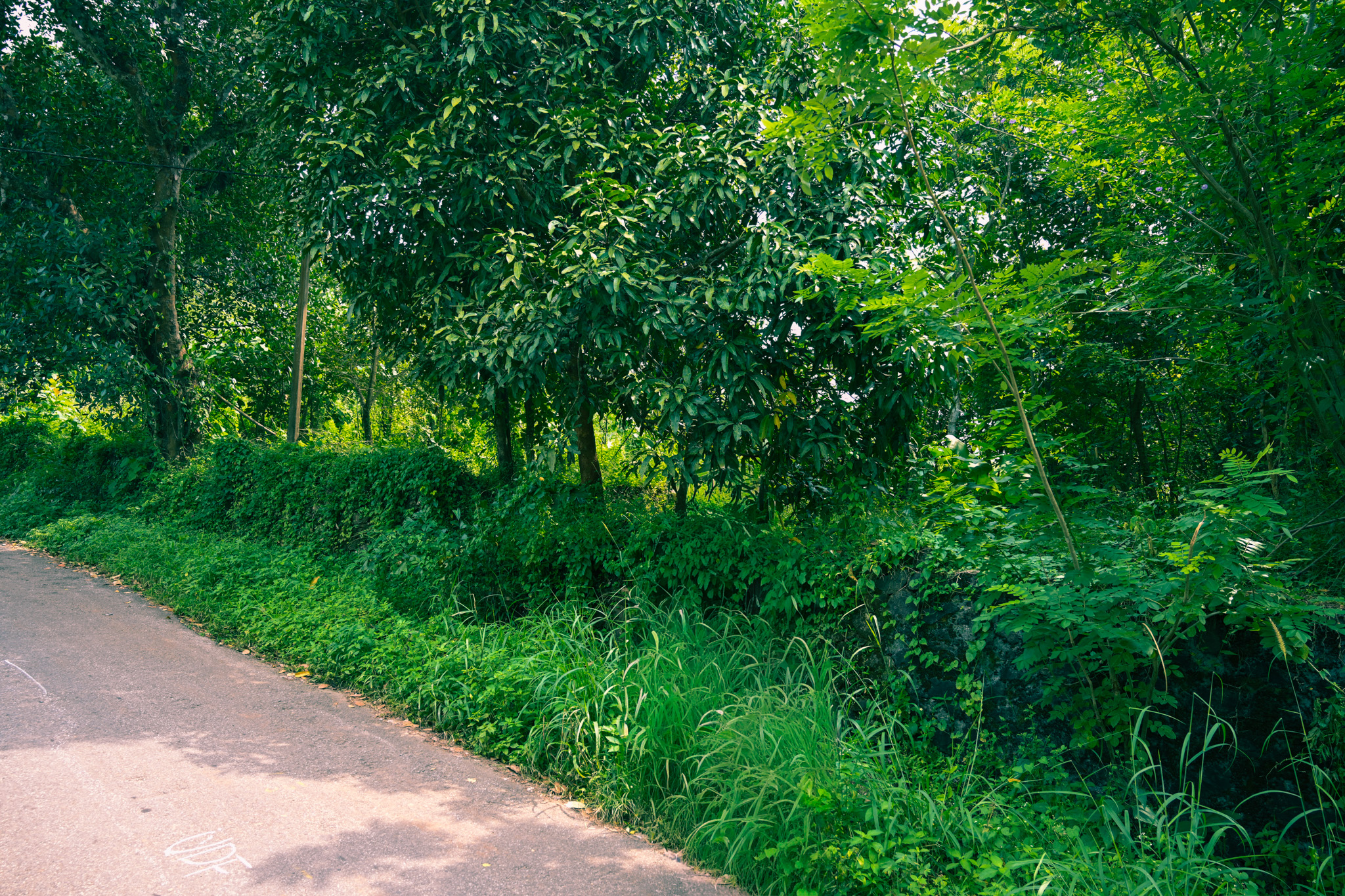 5059 square meter Individual House for sale in Palakkad